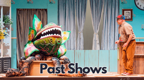 View our past shows